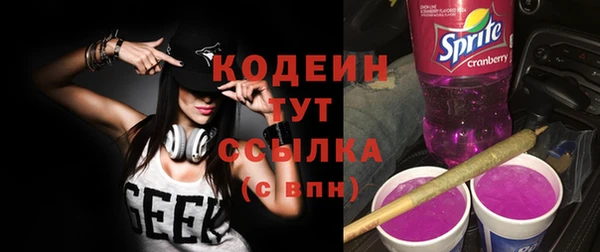 прущие грибы Аркадак
