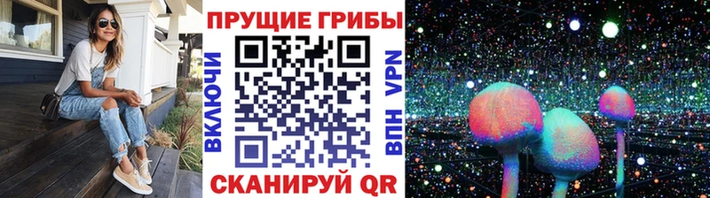 Галлюциногенные грибы GOLDEN TEACHER  наркотики  Можга 