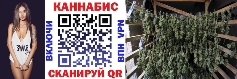 Конопля VHQ  blacksprut ссылка  Можга  где найти  